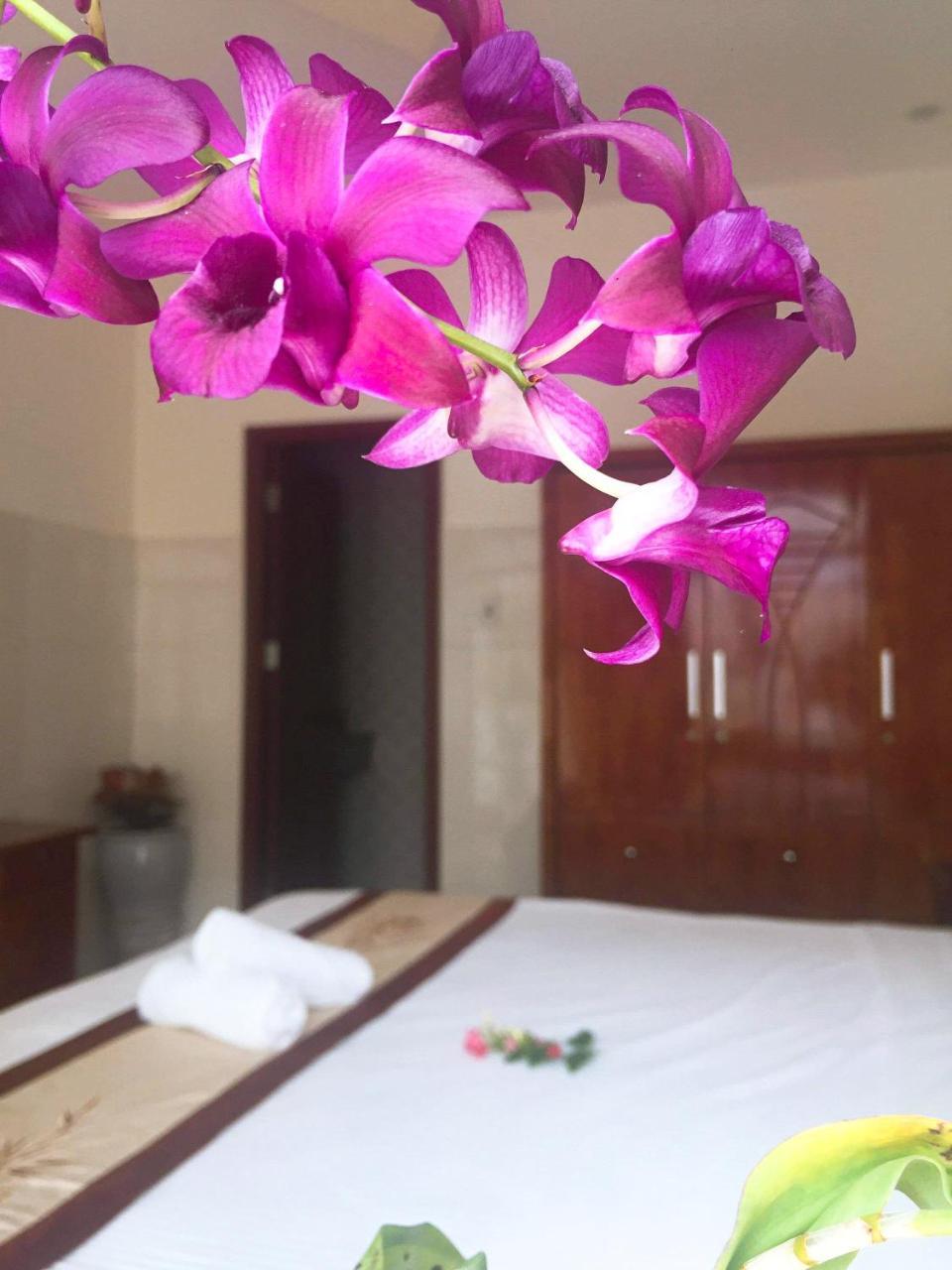 Holy Land Homestay Хойан Экстерьер фото